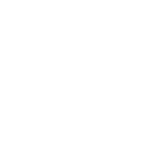 2013: Fastest Growing Forex Broker