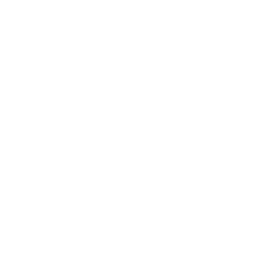 2013: Best Forex Newcomer