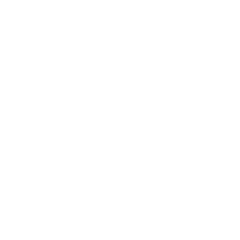 2016: Top Customer Service Provider
